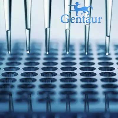 Human Glutathione (GSH) ELISA Test - 96 wells plate