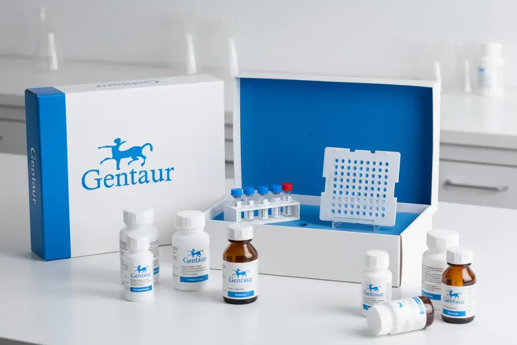 Human PON1 (Paraoxonase 1) ELISA Test, 96T