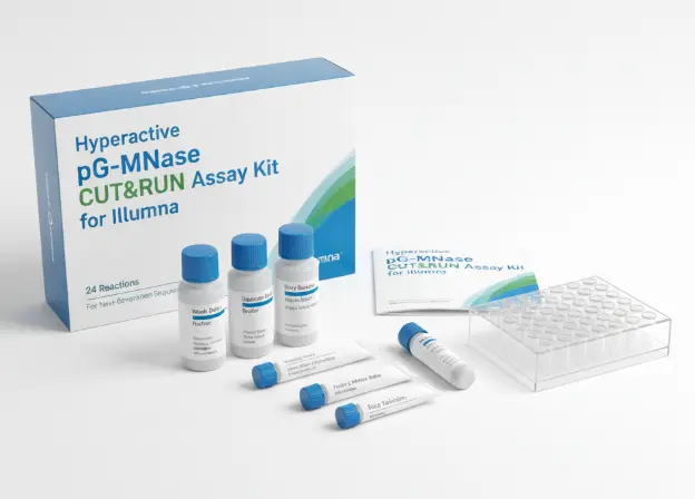 Hyperactive pG-MNase CUT&RUN Assay Test for Illumina - 24 Reactions