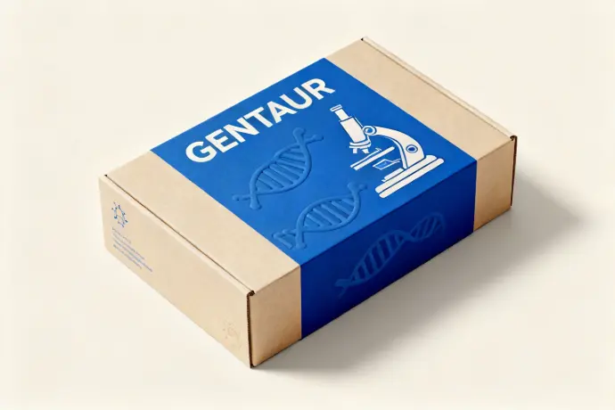 Mouse anti-MARV VP40 mAb (1D1) - 100 ug