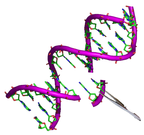 PICP elisa Test :: Human Procollagen Type I C Terminal Propeptide ELISA Test - 96-Strip-Wells-(Sandwich)